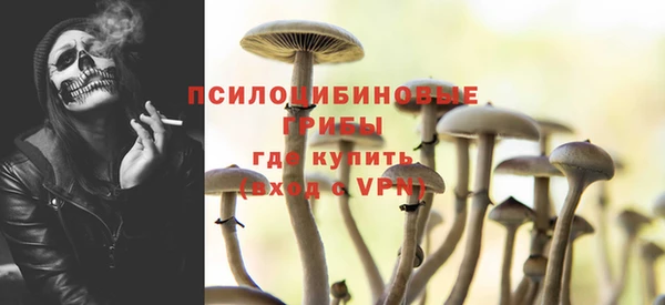 твердый Богданович