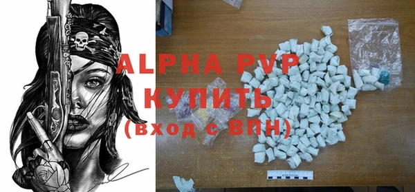 спиды Богородицк