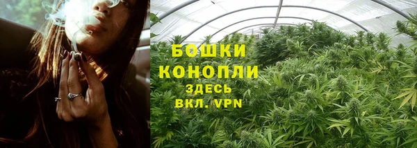 эйфоретик Беломорск